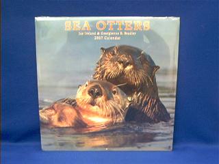 sea otter calendar